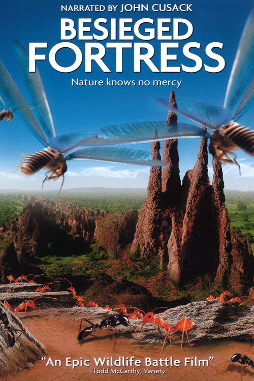 Осажденная крепость постер