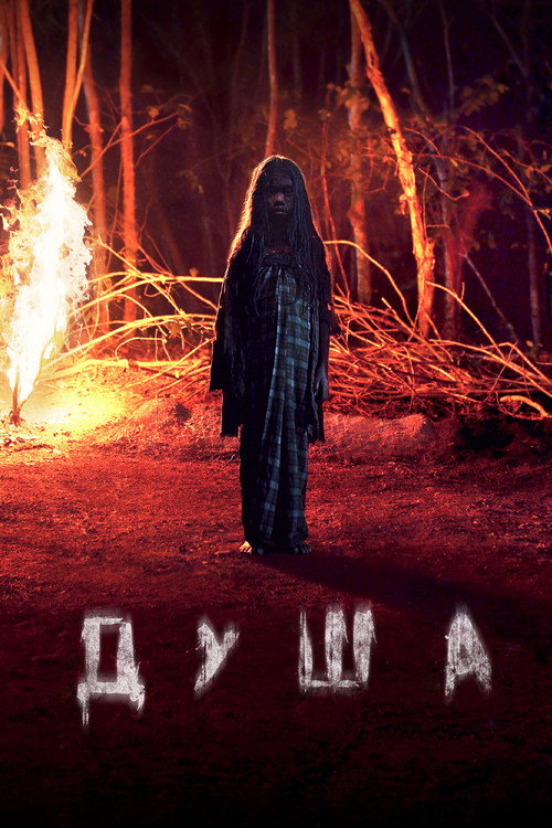 Душа постер