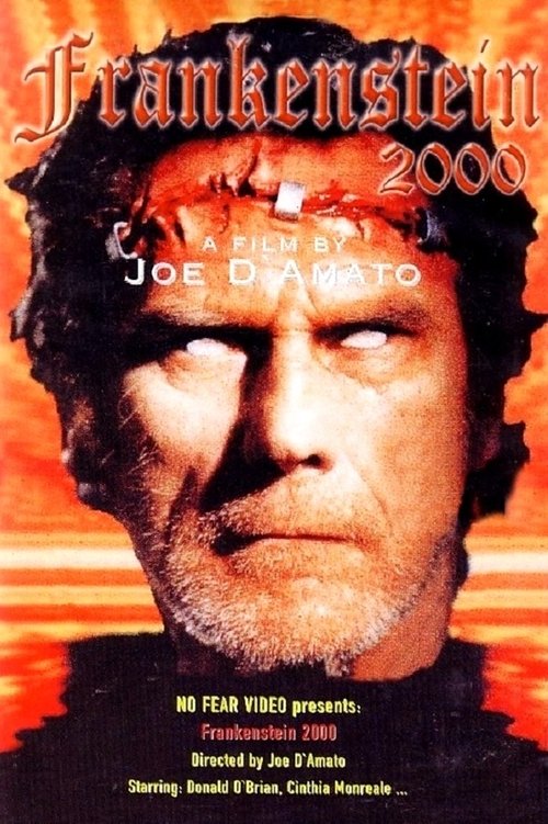 Return from Death: Frankenstein 2000 постер