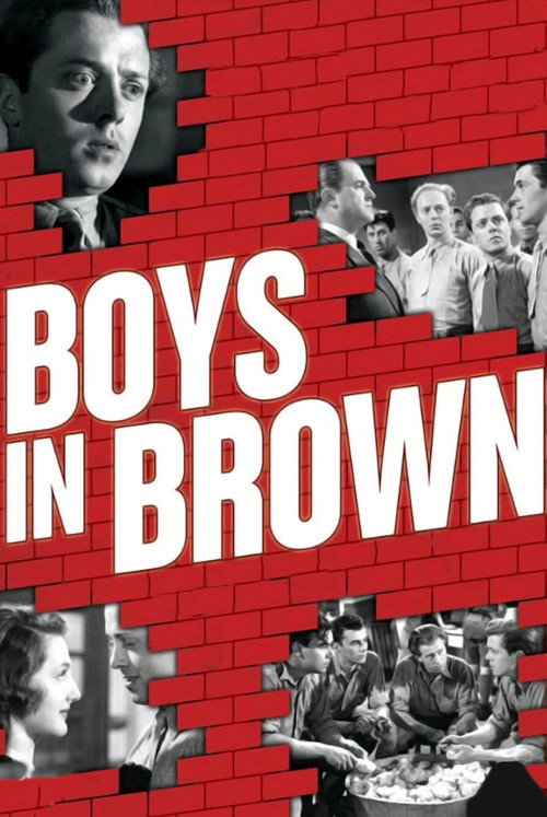 Boys in Brown постер