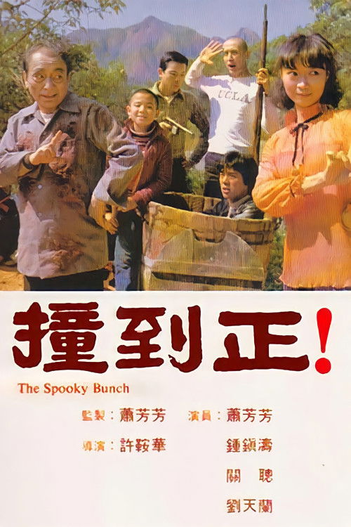 撞到正！ постер
