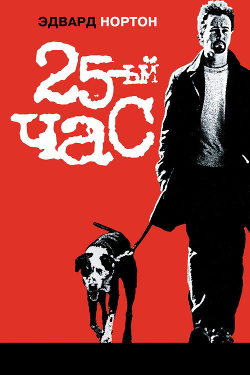 25-й час постер