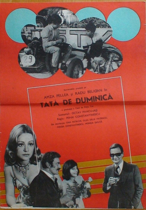 Tată de duminică постер