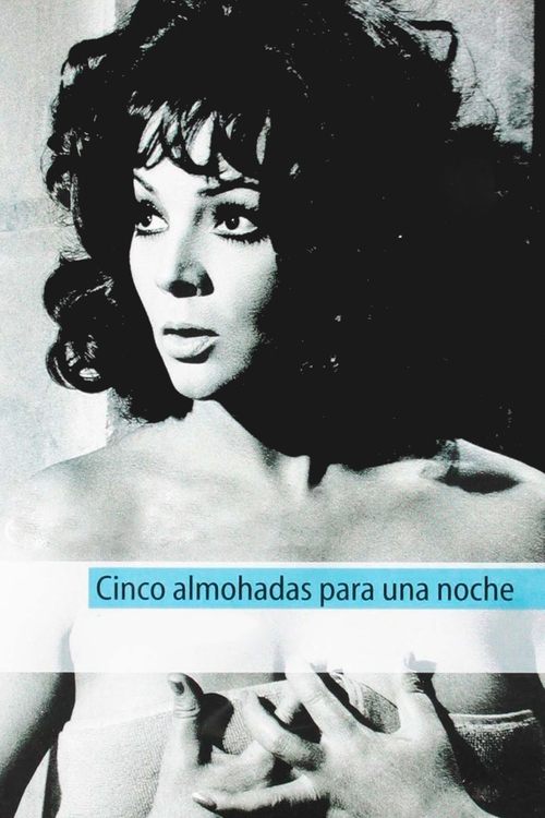 Five Pillows for One Night постер