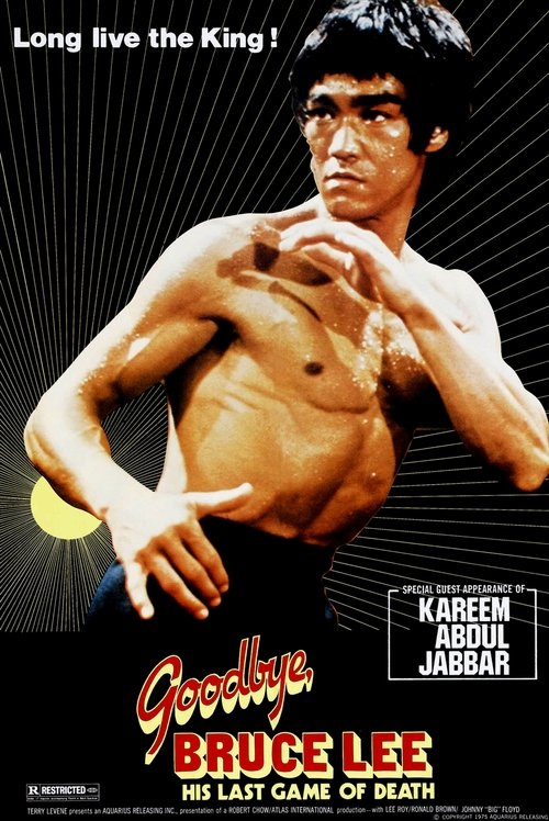 新死亡遊戲 / Game of Death постер