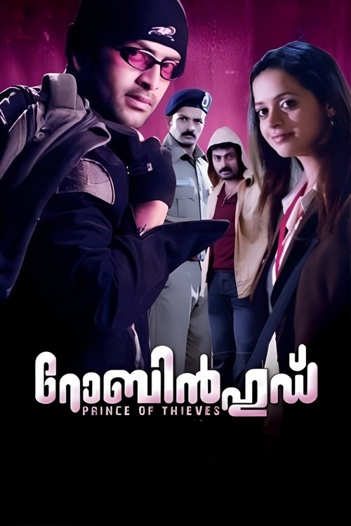 റോബിൻഹുഡ് постер