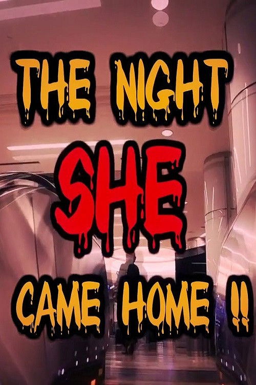 The Night She Came Home!! постер