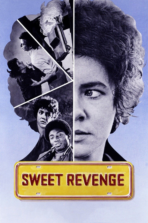 Sweet Revenge постер