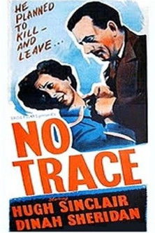 No Trace постер