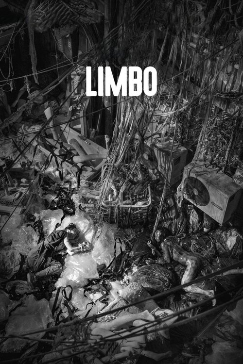 Limbo постер