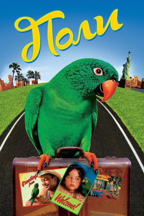 Поли постер