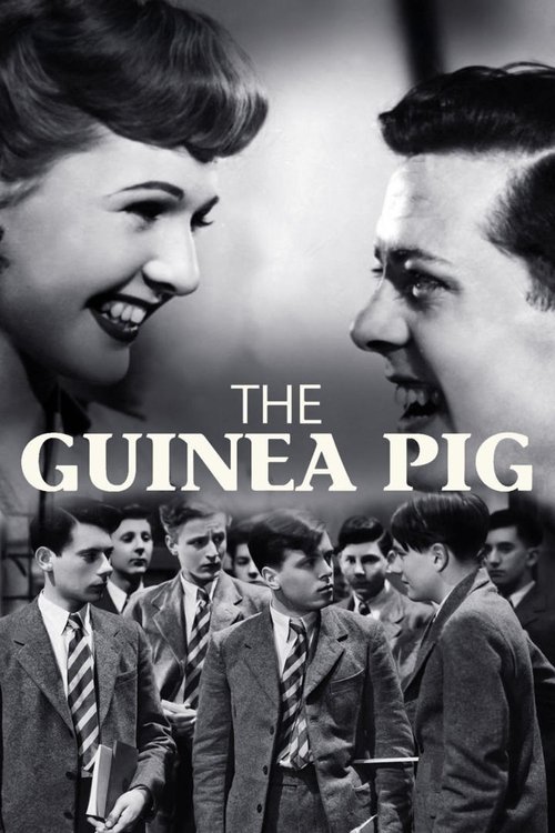The Guinea Pig постер