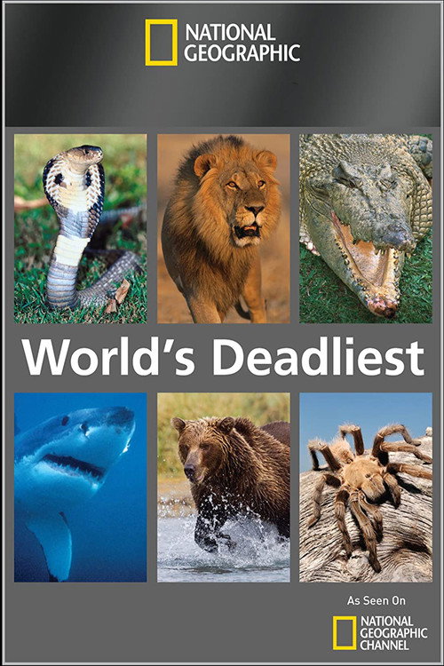 World's Deadliest постер