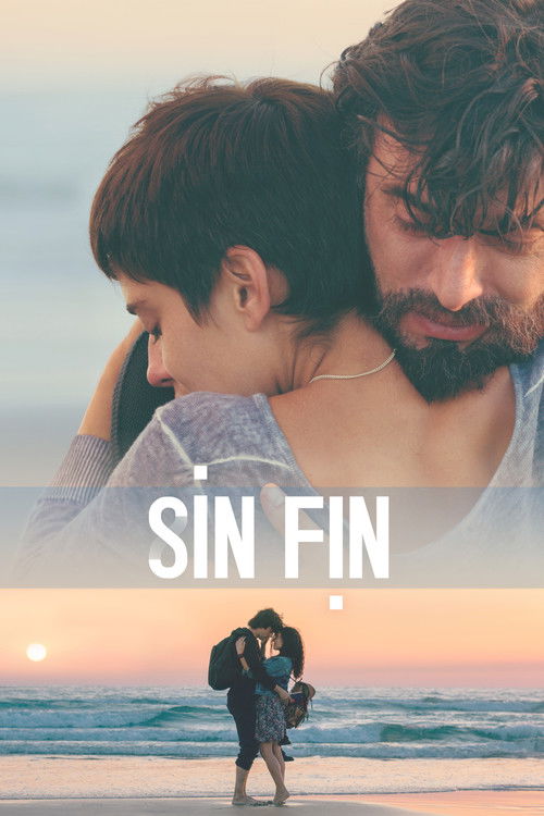 Sin fin постер