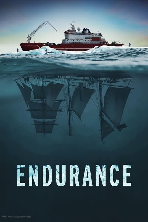 Endurance постер