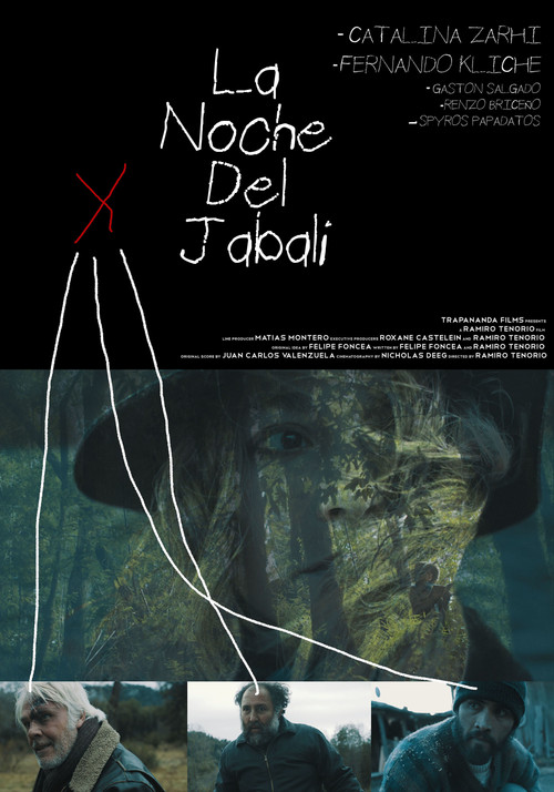 La noche del jabalí постер