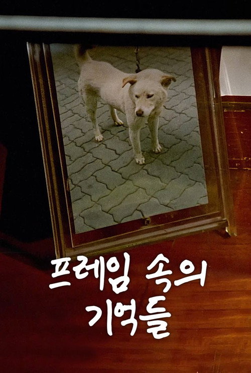 프레임 속의 기억들 постер