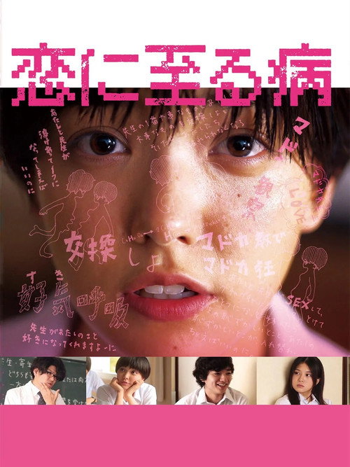 恋に至る病 постер