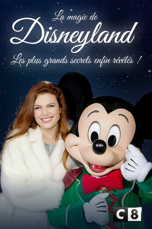La magie de Disneyland  : Les plus grands secrets enfin révélés ! постер