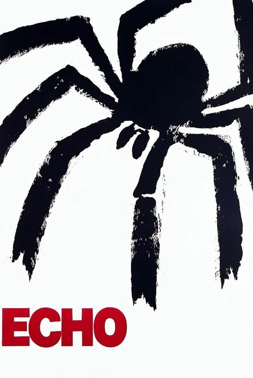 Echo постер