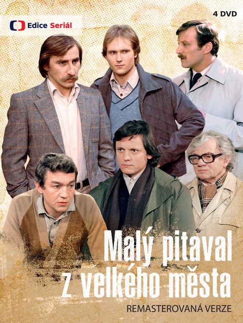 Malý pitaval z velkého města постер