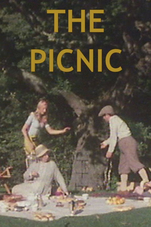 The Picnic постер