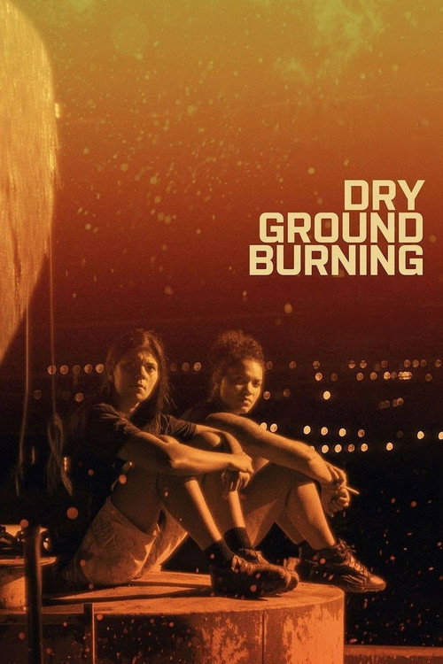 Dry Ground Burning постер