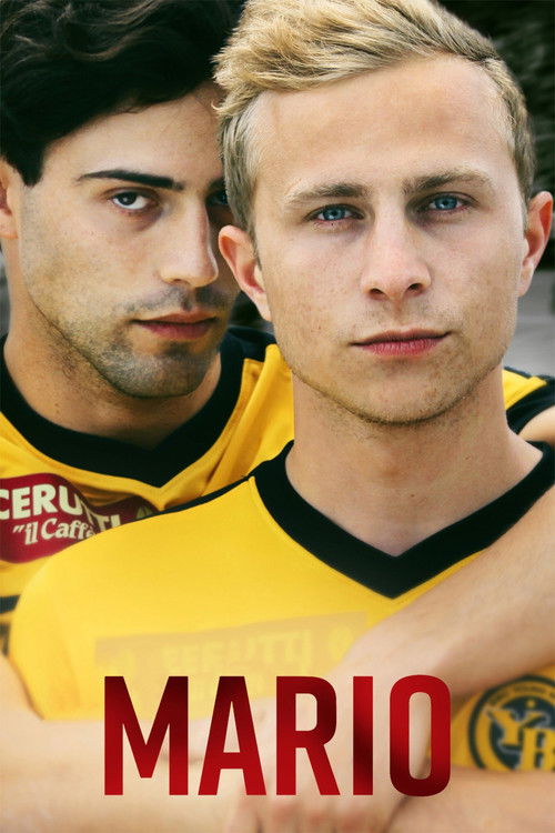 Марио постер