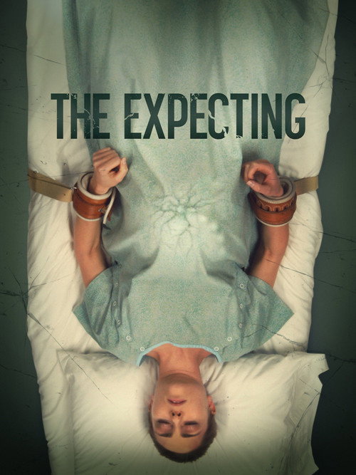 The Expecting постер