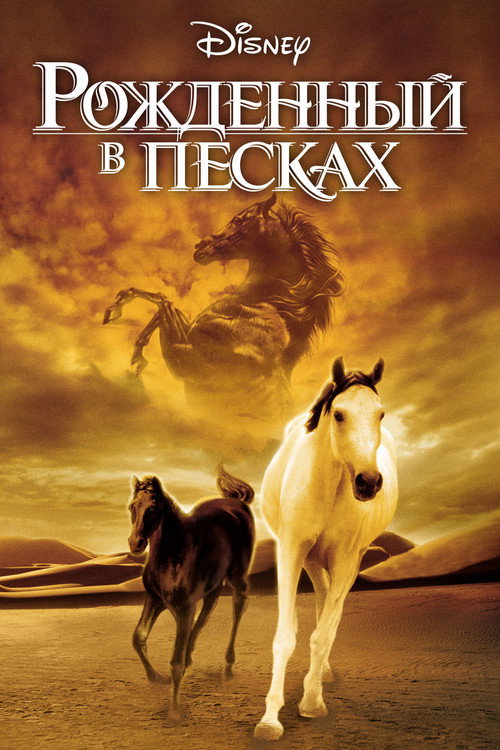 Рожденный в песках постер