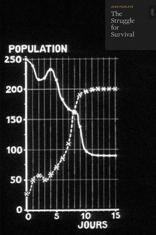 The Struggle for Survival постер