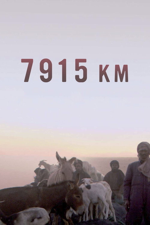 7915 Km постер