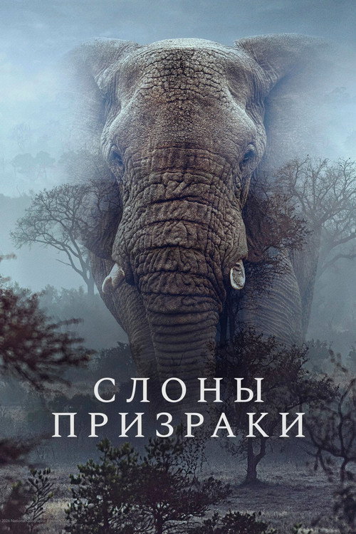 Слоны-призраки постер