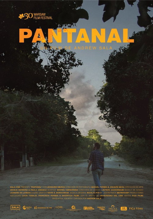 Pantanal постер