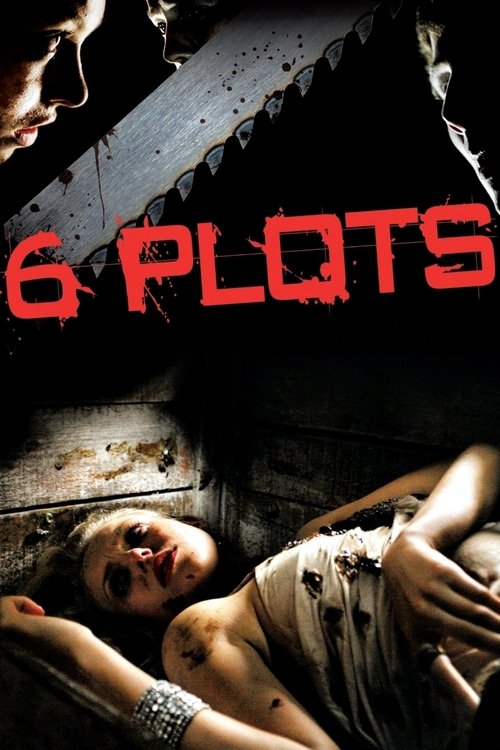 6 Plots постер