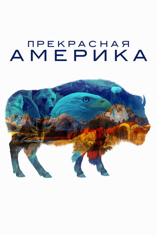 America the Beautiful постер