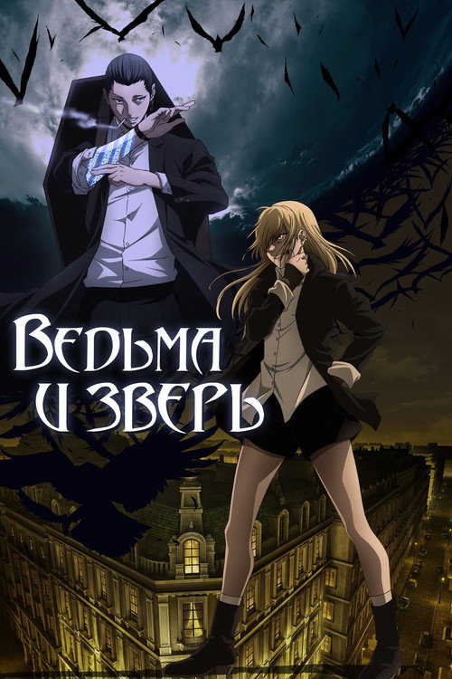 Ведьма и зверь постер