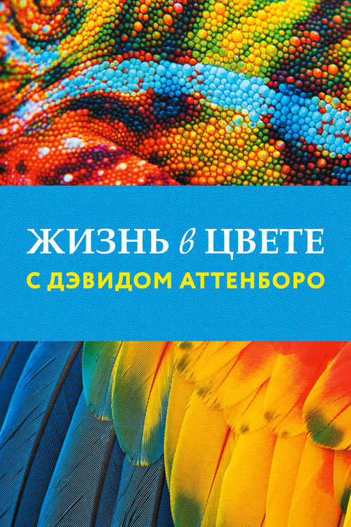 Жизнь в цвете с Дэвидом Аттенборо постер
