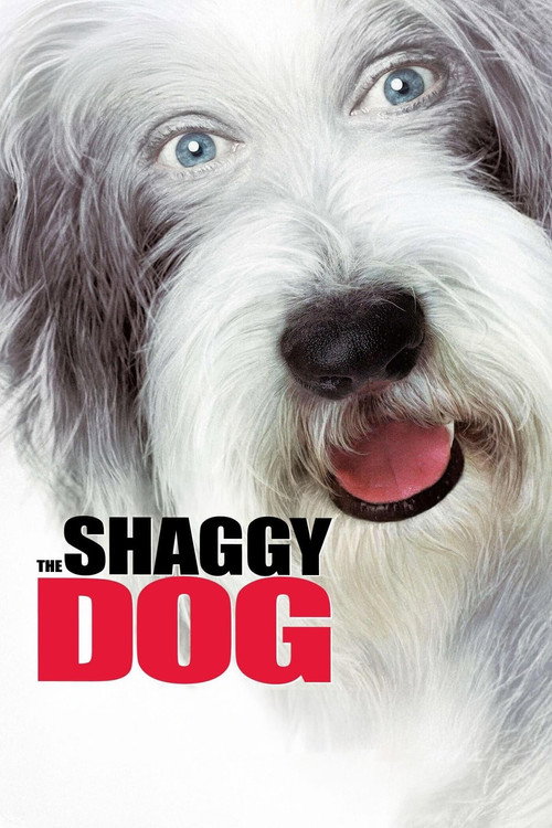 The Shaggy Dog постер