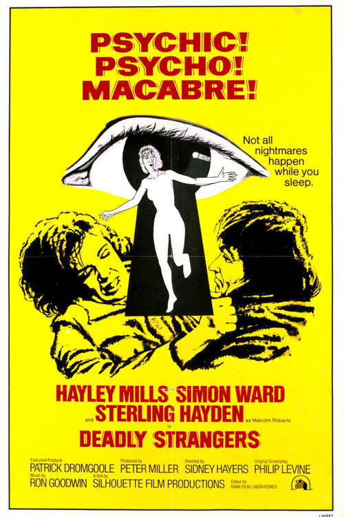 Deadly Strangers постер