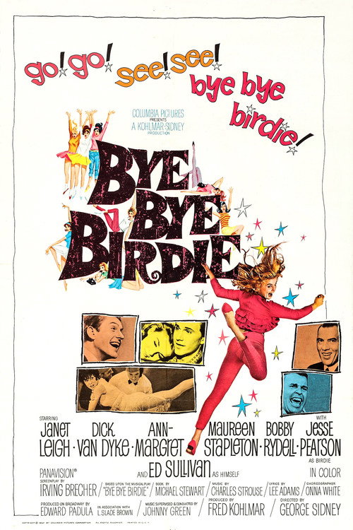 Пока, пташка постер