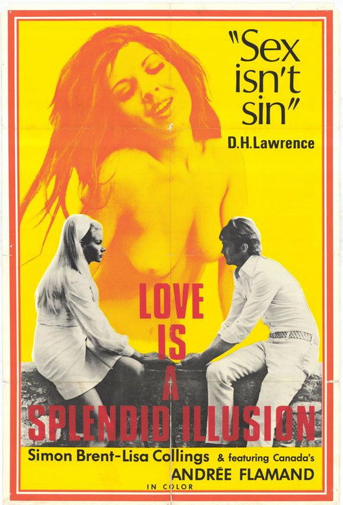 Love Is a Splendid Illusion постер