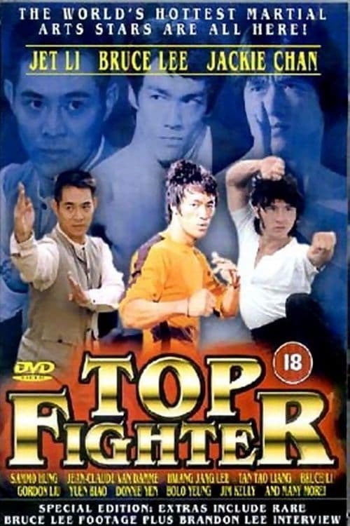 Top Fighter постер