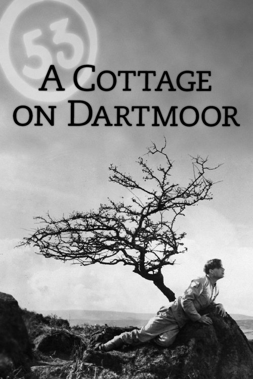 A Cottage on Dartmoor постер