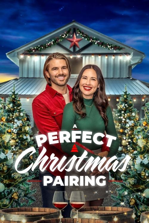 A Perfect Christmas Pairing постер