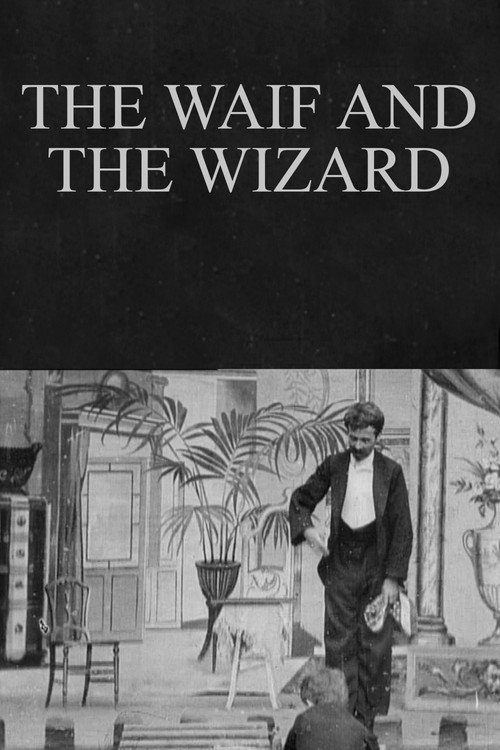 The Waif and the Wizard постер