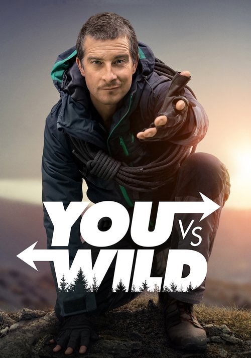 You vs. Wild постер