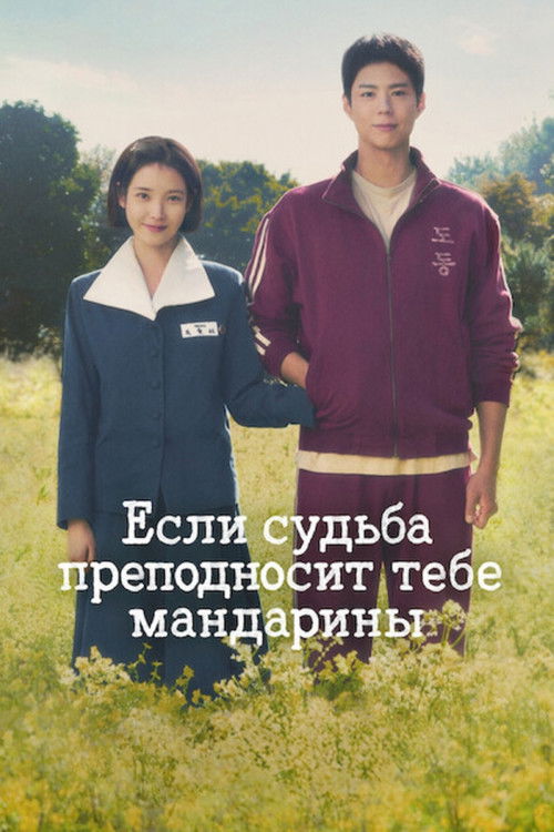 Если судьба преподносит тебе мандарины постер
