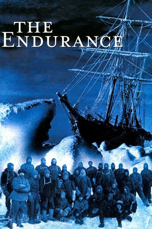 The Endurance постер