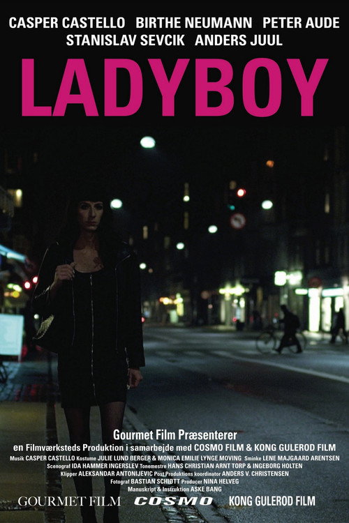 Ladyboy постер